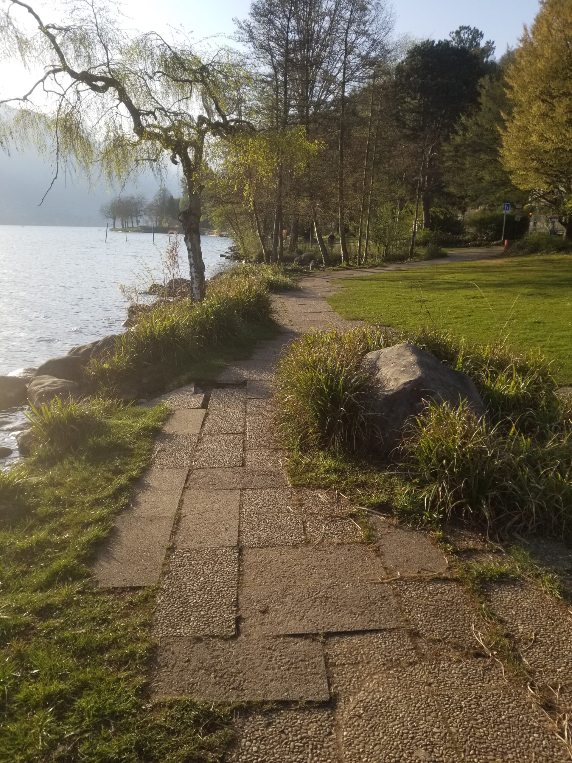 Chemin au bord du lac